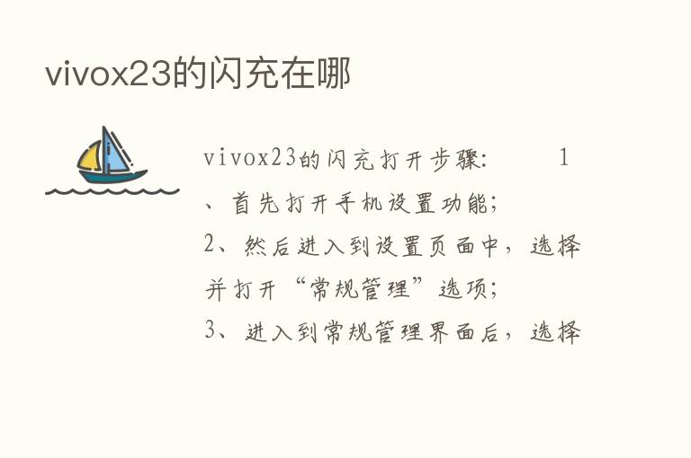 vivox23的闪充在哪