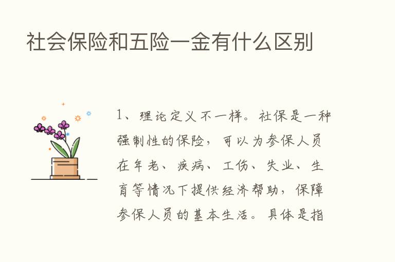 社会      和五险一金有什么区别