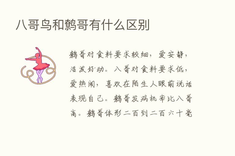 八哥鸟和鹩哥有什么区别