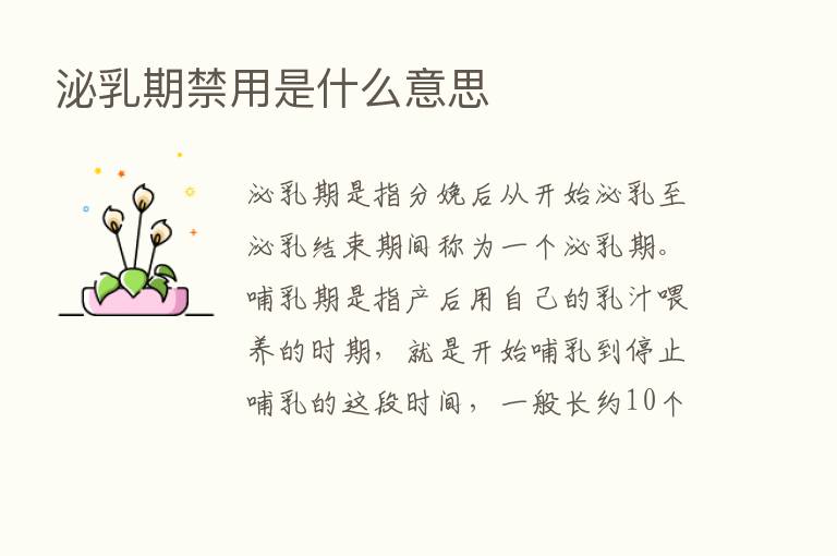 泌乳期禁用是什么意思