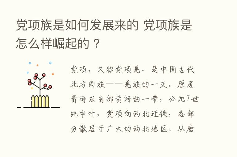 党项族是如何发展来的 党项族是怎么样崛起的 ？