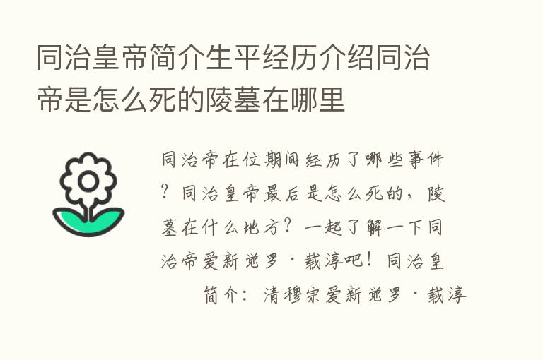 同治皇帝简介生平经历介绍同治帝是怎么死的陵墓在哪里