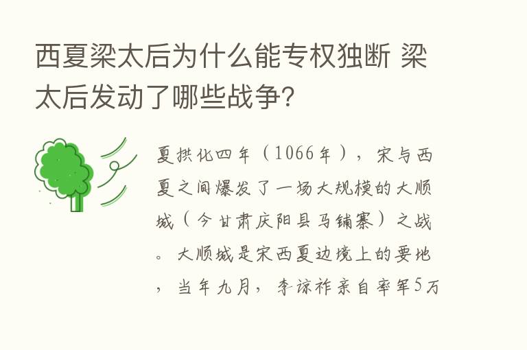 西夏梁太后为什么能专权独断 梁太后发动了哪些战争？