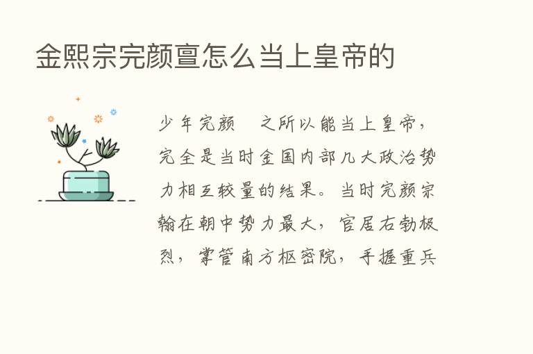 金熙宗完颜亶怎么当上皇帝的