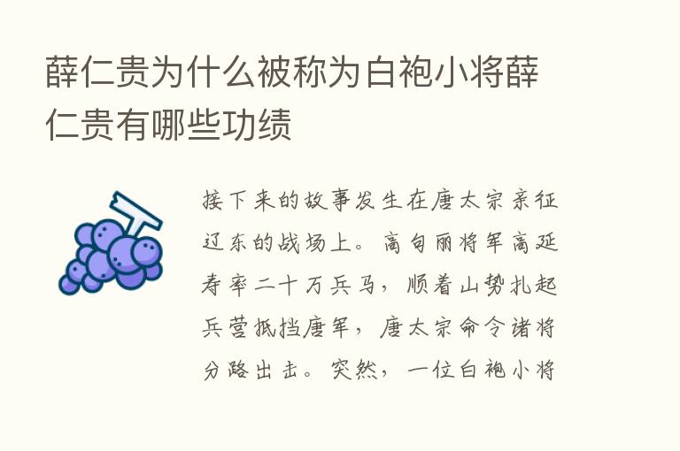 薛仁贵为什么被称为白袍小将薛仁贵有哪些功绩