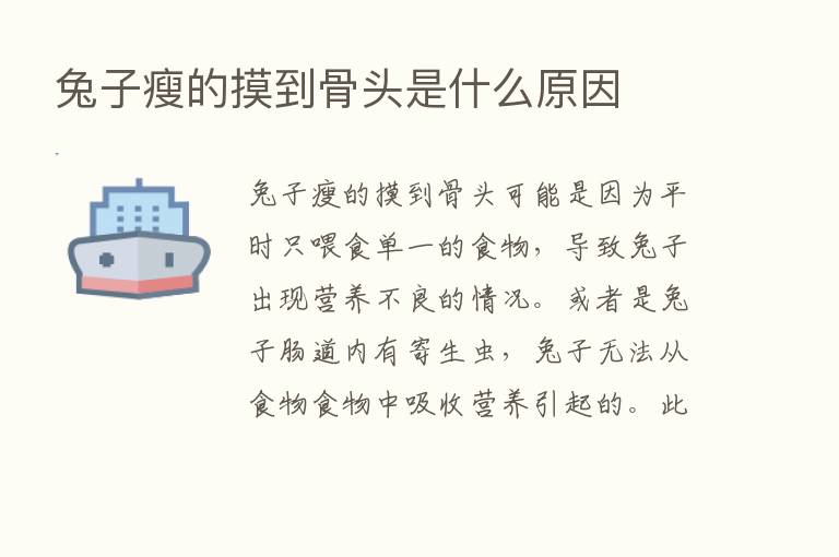 兔子瘦的摸到骨头是什么原因