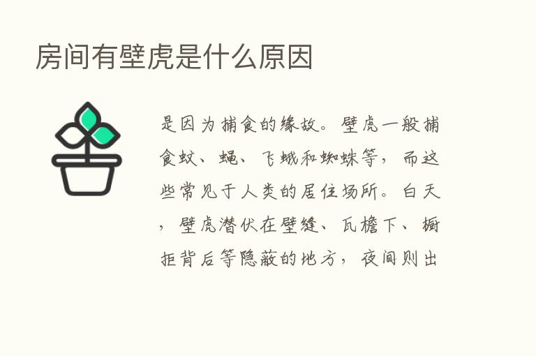 房间有壁虎是什么原因