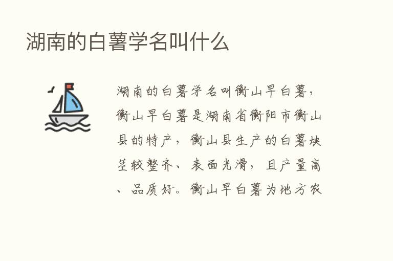 湖南的白薯学名叫什么