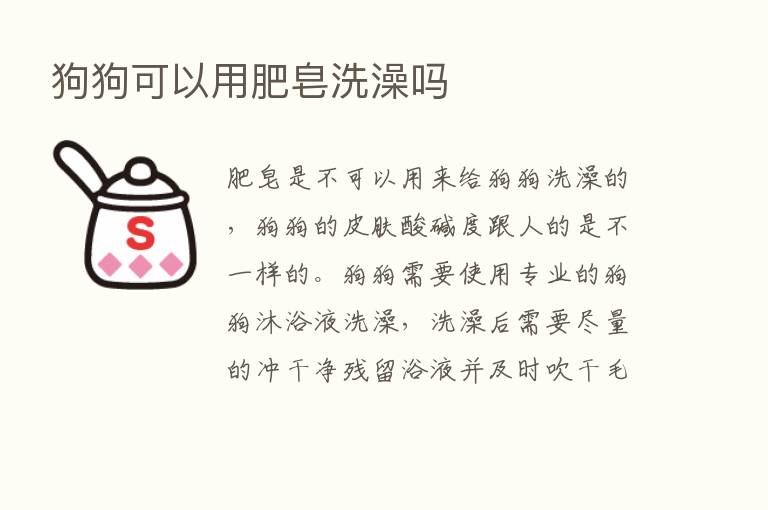 狗狗可以用肥皂洗澡吗