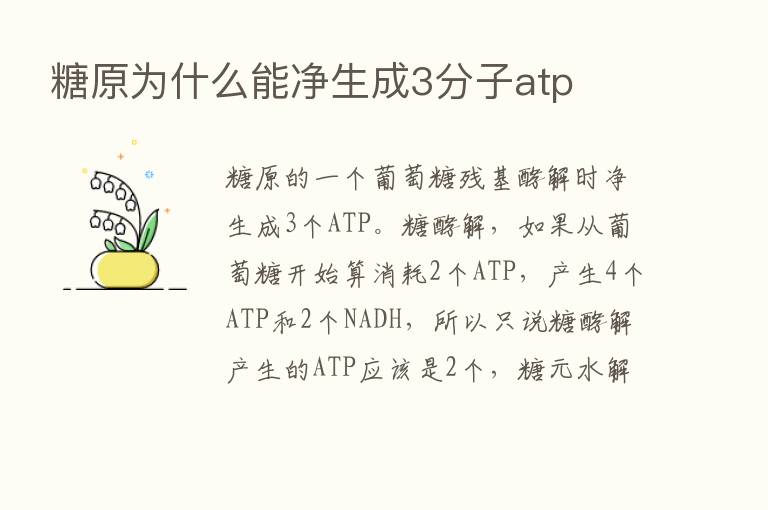 糖原为什么能净生成3分子atp