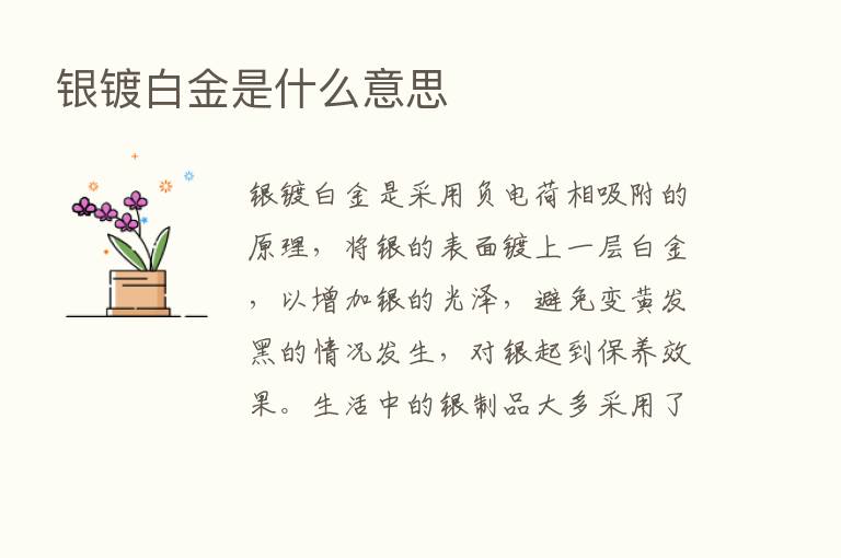 银镀白金是什么意思