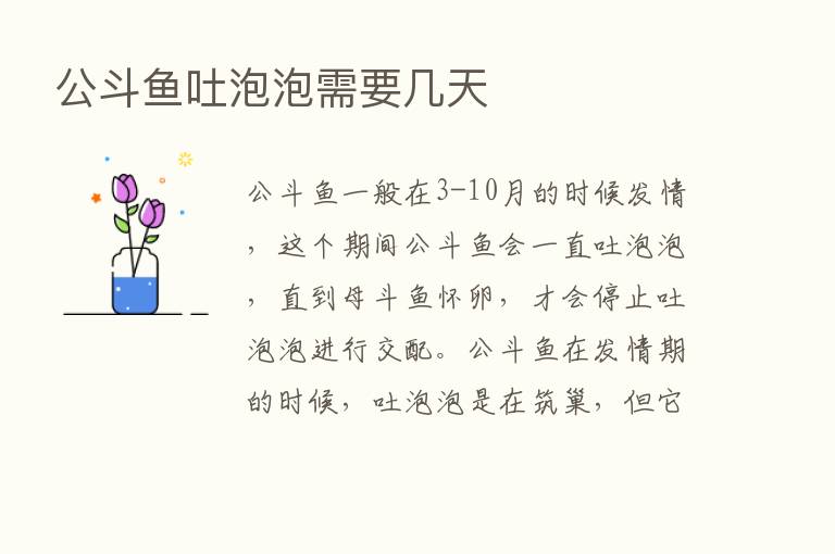 公斗鱼吐泡泡需要几天