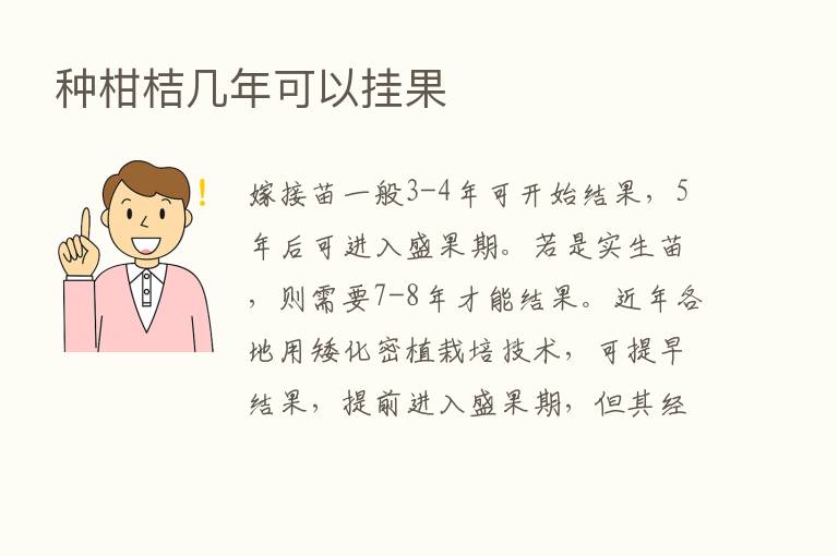 种柑桔几年可以挂果