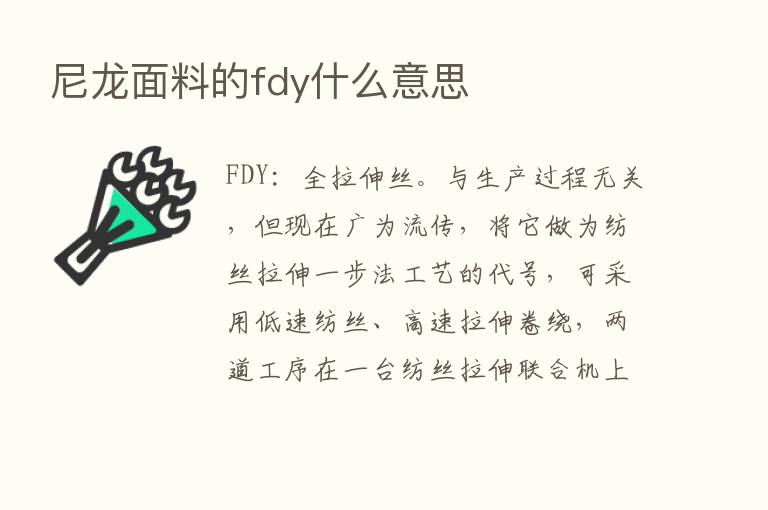 尼龙面料的fdy什么意思