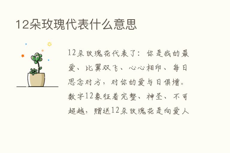 12朵玫瑰代表什么意思