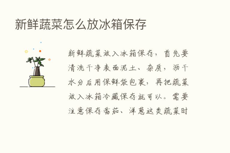 新鲜蔬菜怎么放冰箱保存