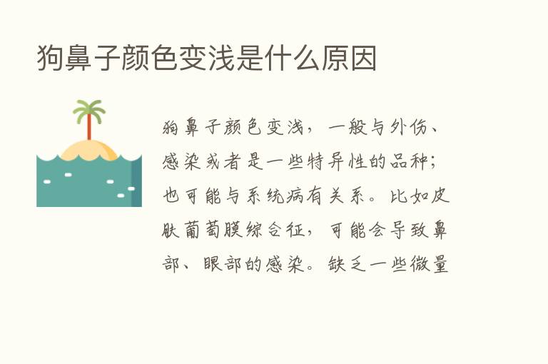 狗鼻子颜色变浅是什么原因