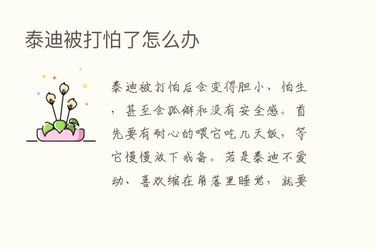 泰迪被打怕了怎么办