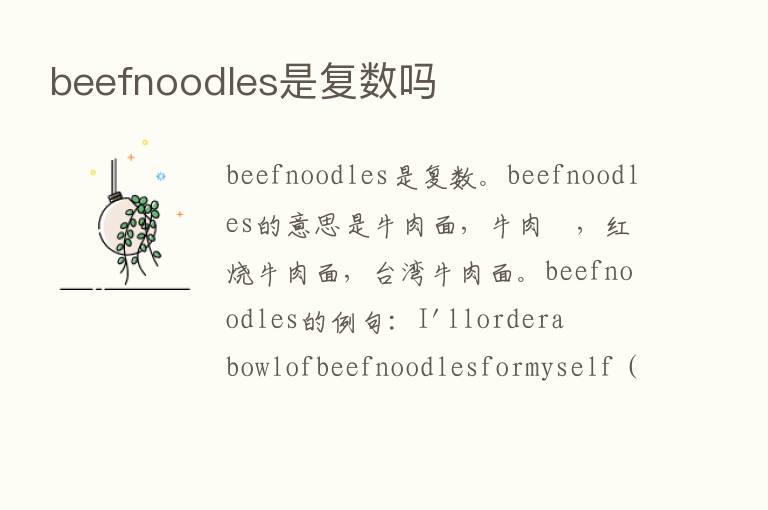 beefnoodles是复数吗