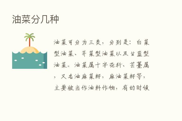 油菜分几种