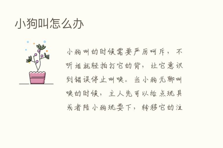 小狗叫怎么办