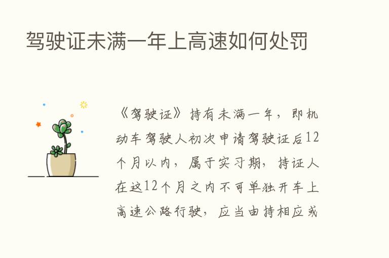 驾驶证未满一年上高速如何处罚