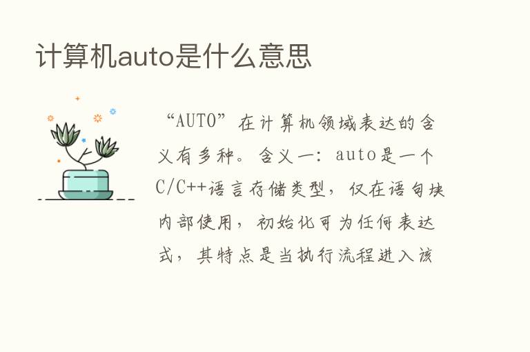 计算机auto是什么意思