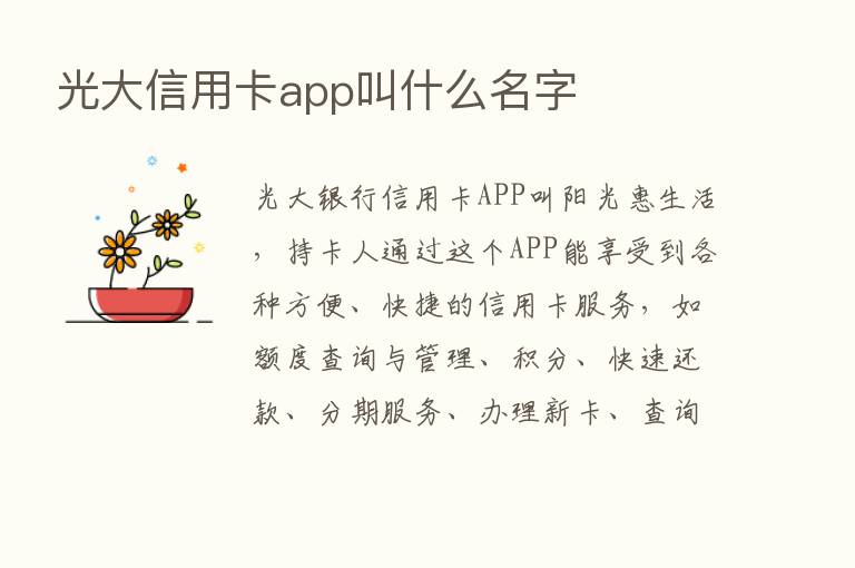 光大信用卡app叫什么名字