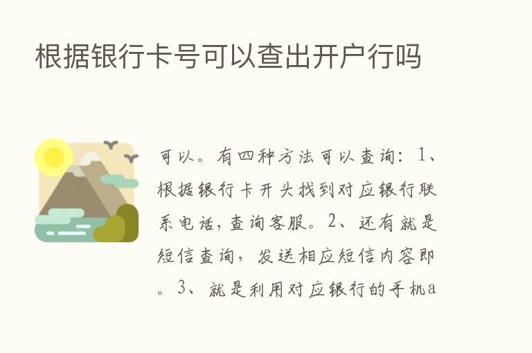 根据银行卡号可以查出开户行吗