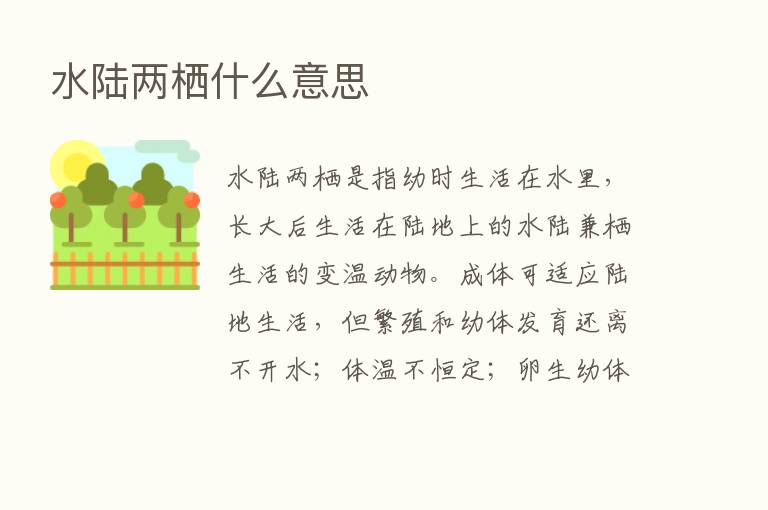 水陆两栖什么意思