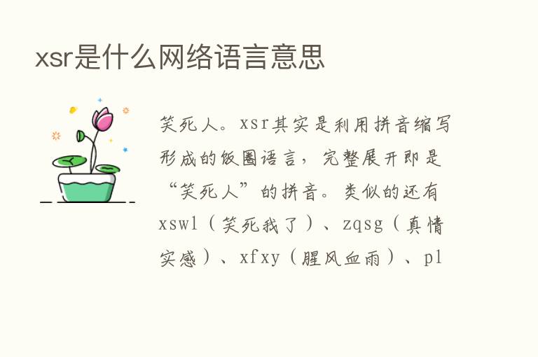 xsr是什么网络语言意思