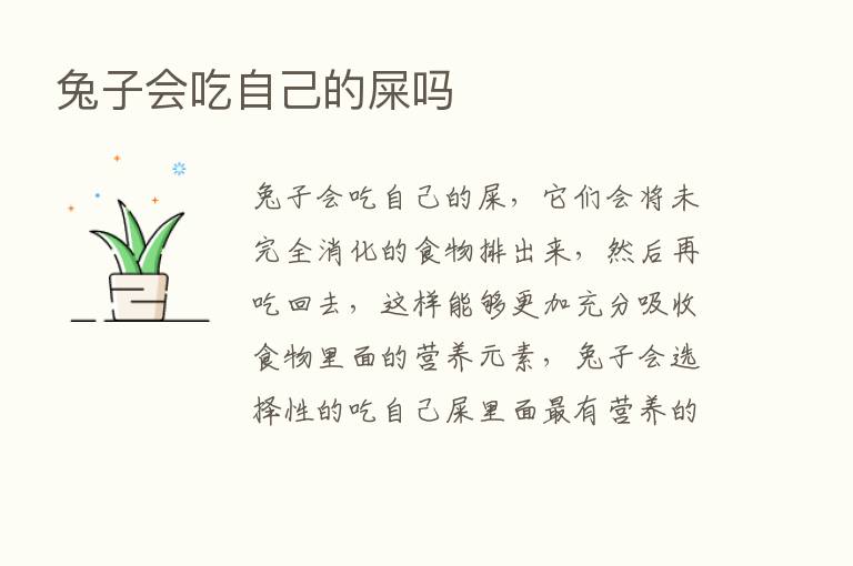 兔子会吃自己的屎吗