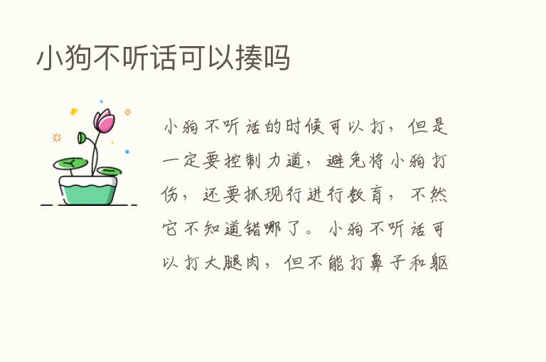 小狗不听话可以揍吗