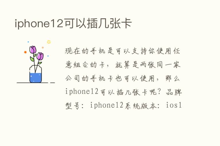 iphone12可以插几张卡