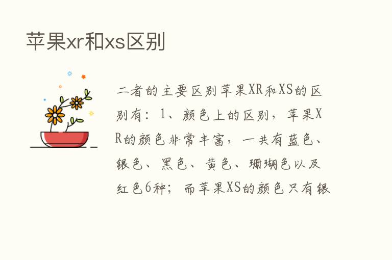 苹果xr和xs区别