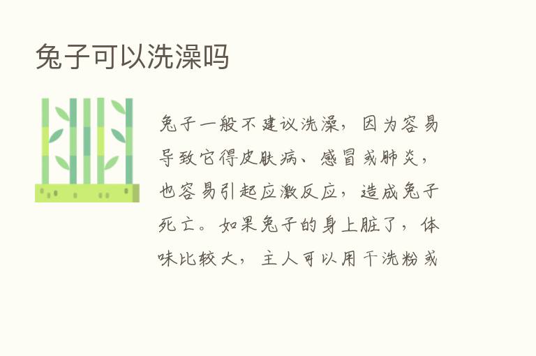 兔子可以洗澡吗