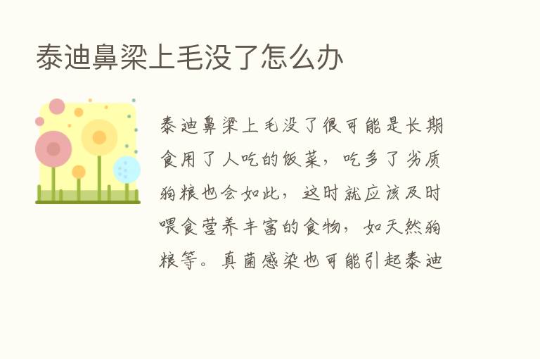 泰迪鼻梁上毛没了怎么办