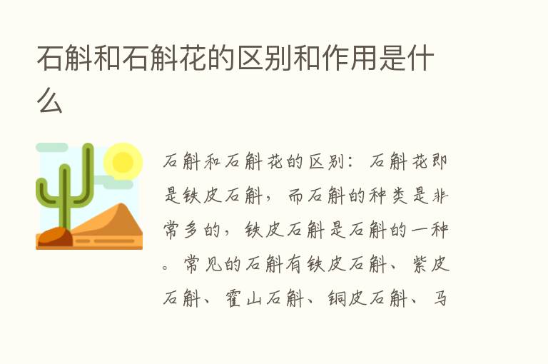 石斛和石斛花的区别和作用是什么