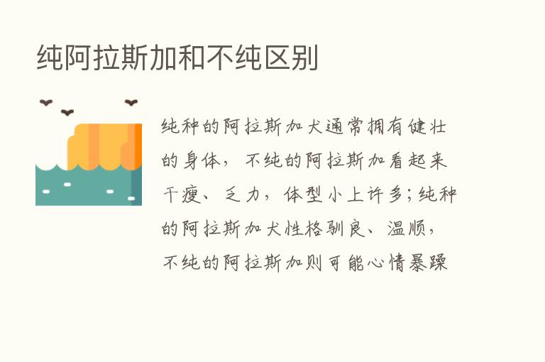 纯阿拉斯加和不纯区别