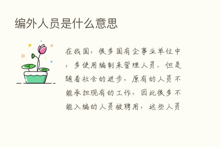 编外人员是什么意思