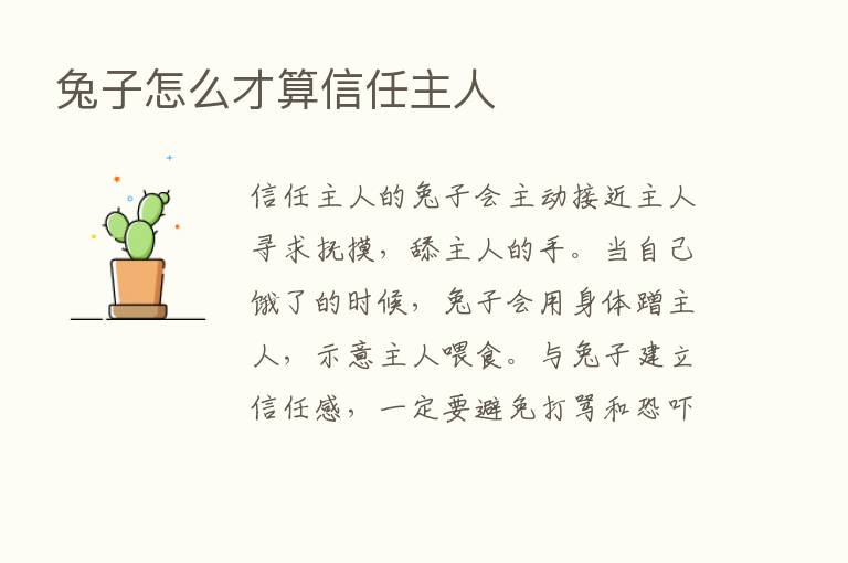 兔子怎么才算信任主人