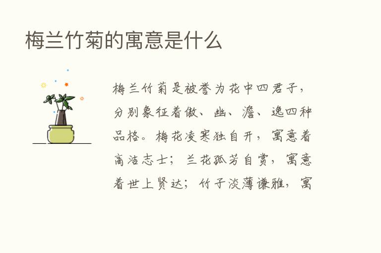 梅兰竹菊的寓意是什么