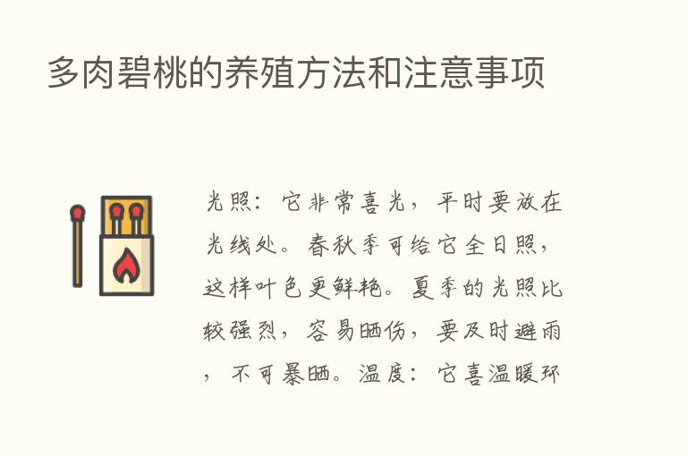 多肉碧桃的养殖方法和注意事项