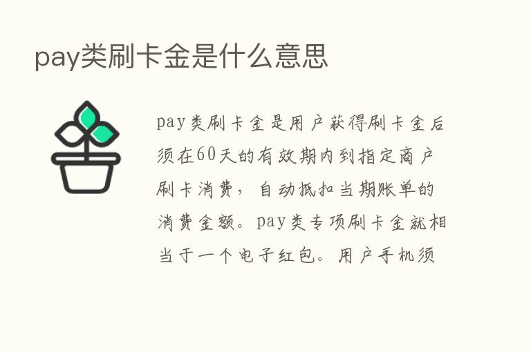 pay类刷卡金是什么意思