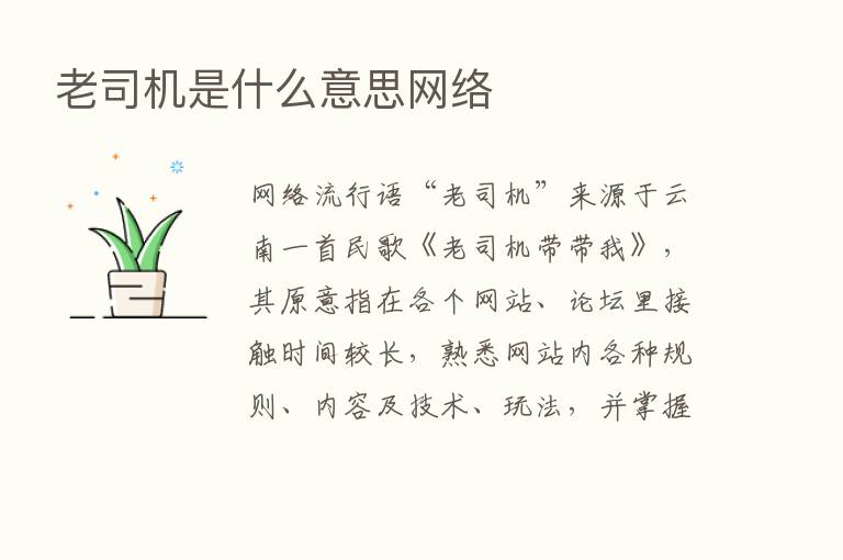 老司机是什么意思网络