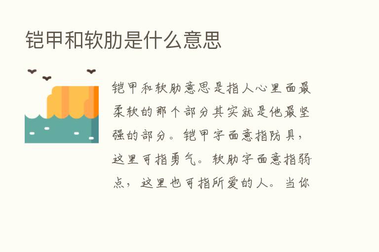 铠甲和软肋是什么意思