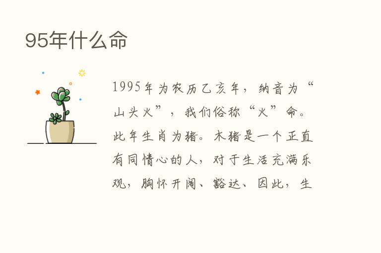 95年什么命