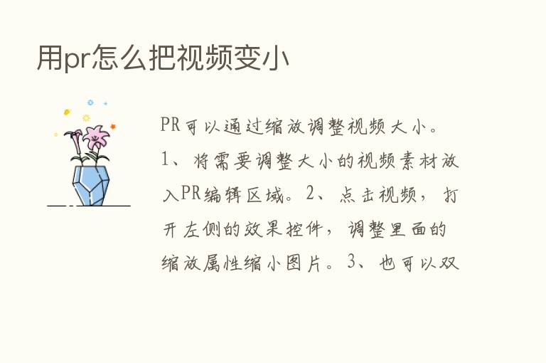 用pr怎么把视频变小