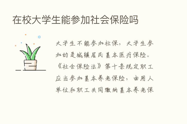 在校大学生能参加社会      吗