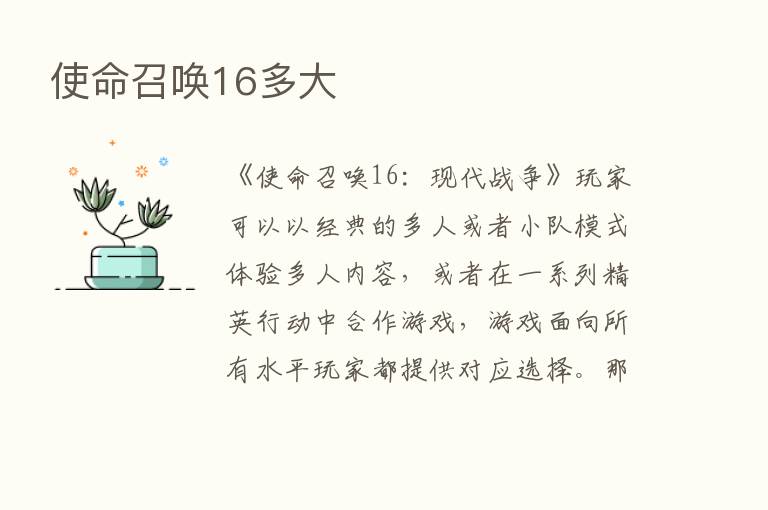 使命召唤16多大